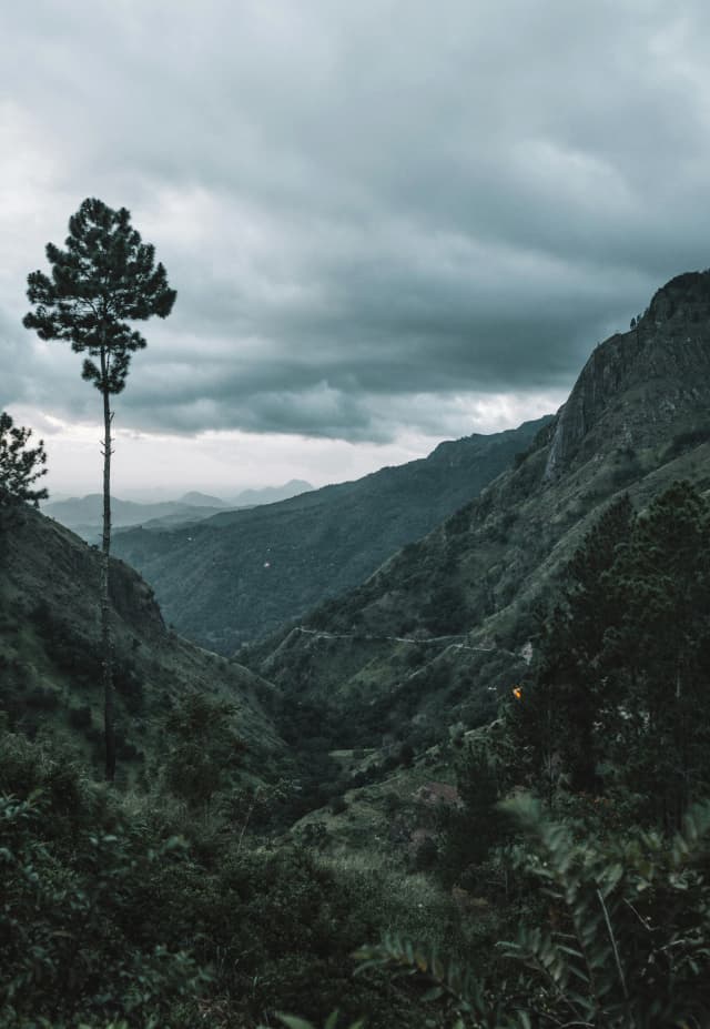 Mountain